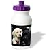 Dogs Labrador Retriever - Black and Yellow Lab Puppies - Water Bottles