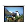 7FT Diagonal Accuscreens Ntsc Electric Wall Ceiling 4:3 50.5X67IN