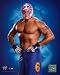 REY MYSTERIO WWE GLOSSY COLOR 8 x 10 WRESTLING PHOTO