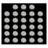 Associated Foam Ballstud Dust Cover 6272, SC10, B4, T4 by Team Associated