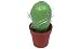 helit Design Klammernspender Cactus , terracotta / gr�n