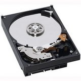 Electronics : AV SATA 250GB 7200RP