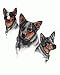 Australian Cattle Dog Drink Coasters