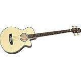 Acoustic Bass Guitars