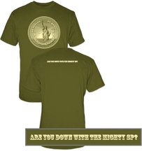 Smashing Pumpkins 90's American Gothic Alternative Rock Band Group Zeitgeist Coin Adult Army Green T-shirt