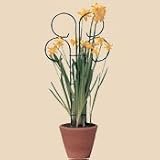 Bosmere L505 12 Inch tall x 8 Inch wide Mini Scroll Pot Trellis