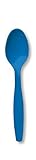 True Blue Cutlery Prem Spoons 12pks Case 
