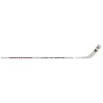 Chicago Blackhawks 2010 Stanley Cup Champions Acrylic Stick