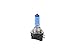 Putco 230011BNB Pure Halogen Headlight Bulb - Nitro Blue - H11B (Pair)