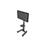 Flat Panel 4 - 6 Mobile Cart