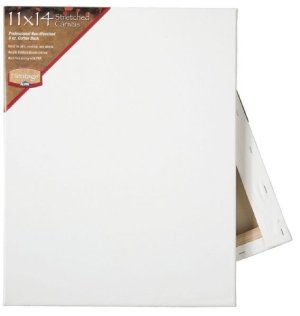 Childrens Toyshop  Outdoor Living : COTTON CANVAS 12 x 12 6/BX
