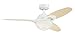 Westinghouse 7869100 Arcadia Indoor Ceiling Fan with Light and Remote Control, 46 Inch, White