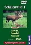 Schalenwild 1 - Rotwild/Damwild/Sikawild