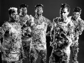 Image of The Hives