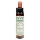 Ainsworths 10 ml Hornbeam Bach Flower Remedy