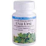 Eclectic Institute - Uva Ursi Freeze-Dried, 350 mg, 90 capsules