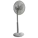 14 inch Standing Fan