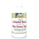 Colloidal Minerals Enriched With Blue Green Algae (32 oz)
