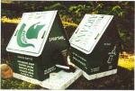Michigan State Birdhouse