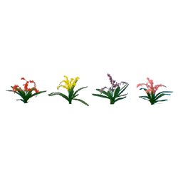 Flowering Plants Series: Flower Plants