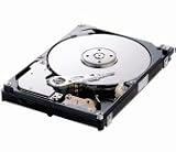 Spinpoint 160 gig HM160JC 2.5 inch hard drive