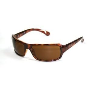 Ray-Ban Sunglasses RB 4075 Frame: Tortoise Lens: B-15 XLT (61mm)