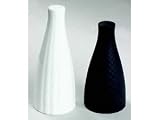 Review Waterford Wedgwood USA  / Wedgwood 5016568855 Night and Day Salt and Pepper Set 2-pc.