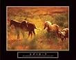 Spirit - Horses, Motivational Poster