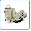 3/4 HP 115/230 volts Pentair Pinnacle Inground Swimming Pool Pump # 342853