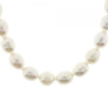 Cultured Freshwater Pearl 14K Yellow Gold Necklace