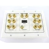 Buy 7.1 with HDMI Binding Post Banana Plug Wall Plate
