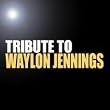 Tribute To Waylon Jennings