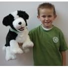 Border Collie Playful Puppy Puppet