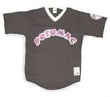 Minor League Baseball Potomac Cannons Adult V Neck Jersey