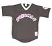Minor League Baseball Potomac Cannons Adult V Neck Jersey