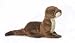 Plush Sliddy River Otter 8