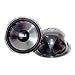 PYLE PLCHW15 15-Inch 3600 Watt DVC Subwoofer