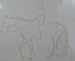 Trail Riding Horse Window Art Decal