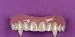 Teeth Veneer Vampire