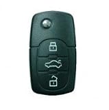 Shocking Car Key Remote