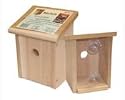 Songbird Essentials Nest View Bird House