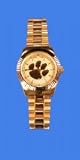 Clemson Tigers Alumni Series Watch