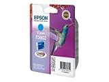 Epson Inkjet Cartridge Photo Cyan Ref T080240