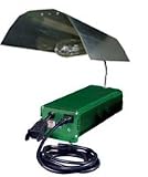 Digital Economy Light System 250 watt