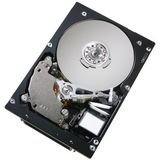 Hitachi Ultrastar 10K300 Hard Drive - 300 Gb - Internal - 3.5IN - ULTRA320 SCSI