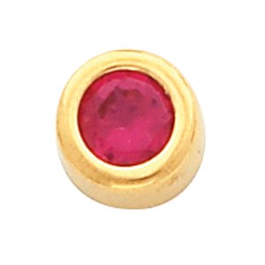 14K Yellow Gold Imitation Birthstone Pendant Slide January
