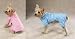 PINK Goodnight Dog Pajamas PINK - MEDIUM - Goodnight Dog Pajamas