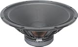Pioneer A38GC50-54FQ 15 PA/Guitar Speaker