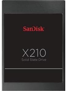 SanDisk SSD Genuine 512 GB SSD X210 Server