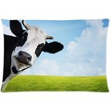 Kenneth Case Cavalier king charles spaniel Dog Pillow cases cover for 18X 18 (Two Sides)
